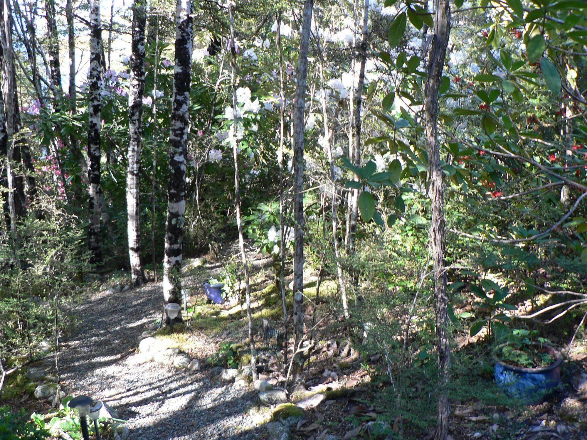 Avarest Bed & Breakfast Saint Arnaud Esterno foto